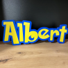 Custom Pokemon 3D Name Sign